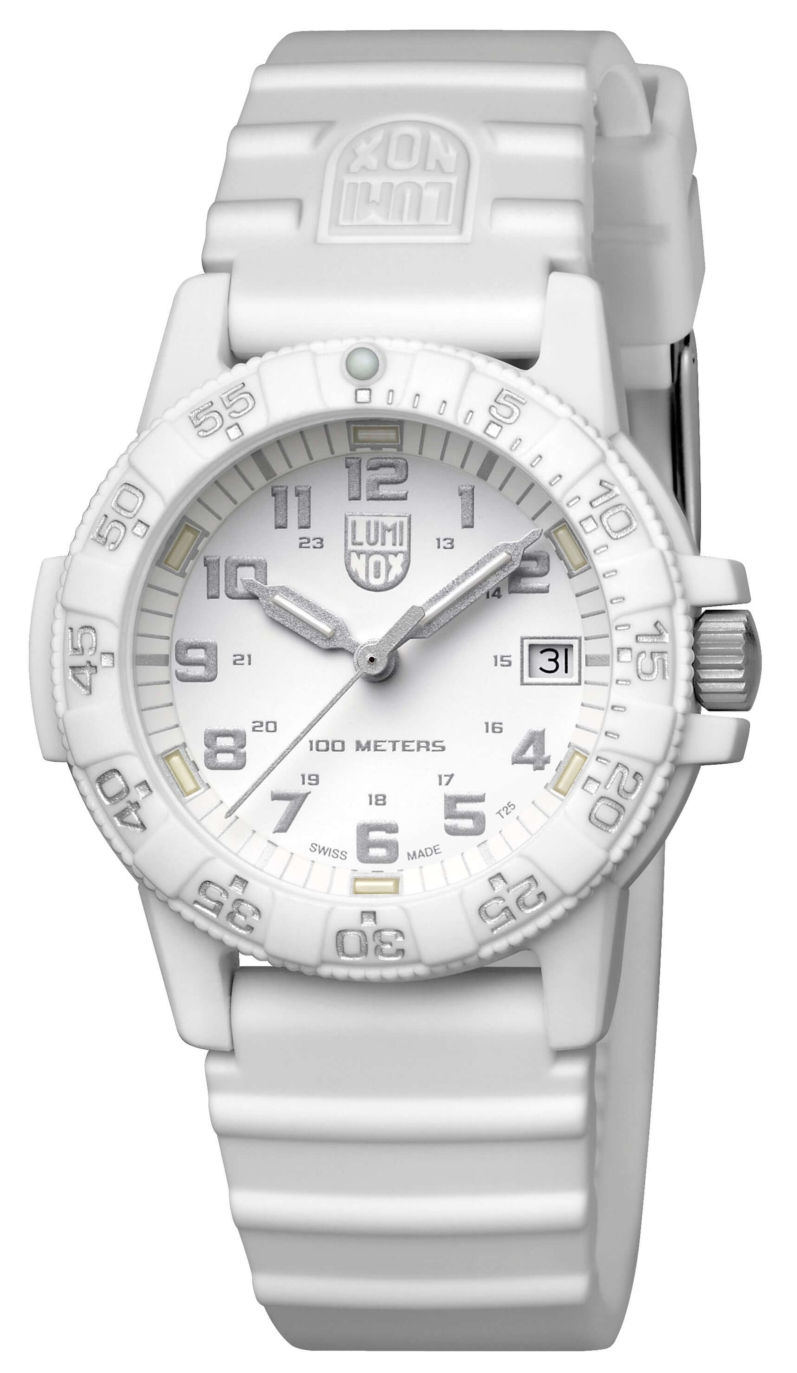 Leatherback SEA Turtle, 39MM - 0307.WO