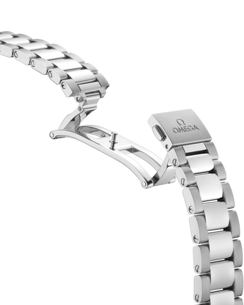Omega Seamaster Aqua Terra 150M 220.10.28.60.51.001