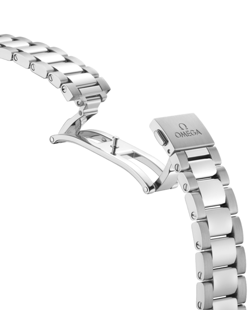 Omega Seamaster Aqua Terra Watch 220.10.34.20.55.001