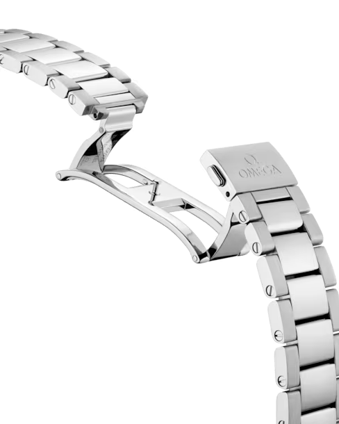 Omega Seamaster Aqua Terra 150M Co-Axial 220.10.38.20.02.001