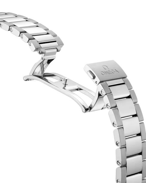 Omega Seamaster Aqua Terra 150M 220.10.38.20.10.003