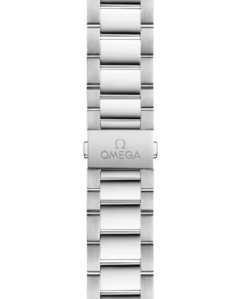 Omega Seamaster Aqua Terra Co-Axial 220.10.41.21.01.001