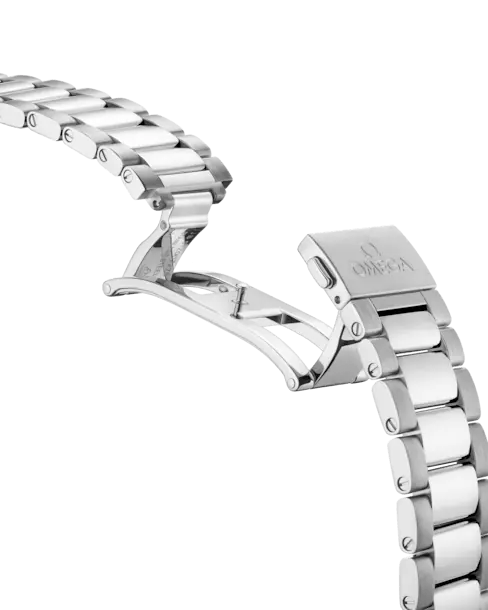 Omega Seamaster Aqua Terra 150M Watch 220.10.41.21.03.001