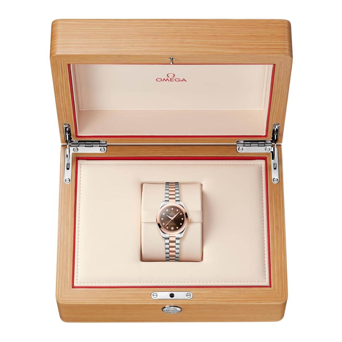 Omega Seamaster Aqua Terra 150M 220.20.30.20.63.001