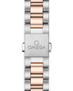 Omega Aqua Terra 150M Master Chronometer Watch 220.20.38.20.09.001