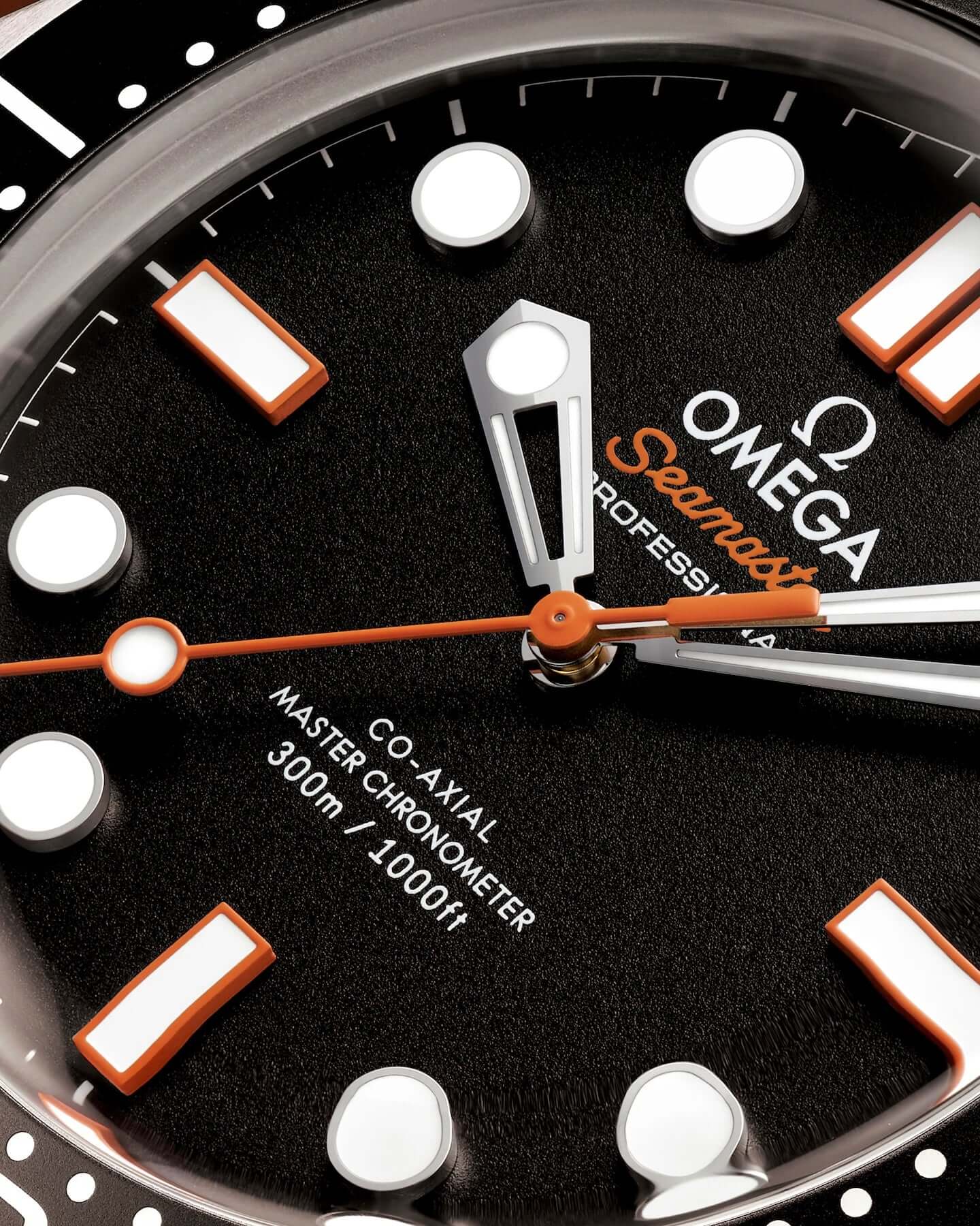 Omega Seamaster Pro professional watch face