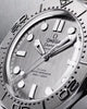 Omega Seamaster Diver 300M Master Chronometer Mens Watch 210.30.42.20.06.002