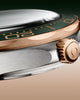 Omega Seamaster Diver 300M Titanium Bronze Gold 210.92.42.20.10.001