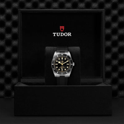 Tudor Black Bay Fifty-Four M79000N-0002 at Bandiera Jewellers Vaughan