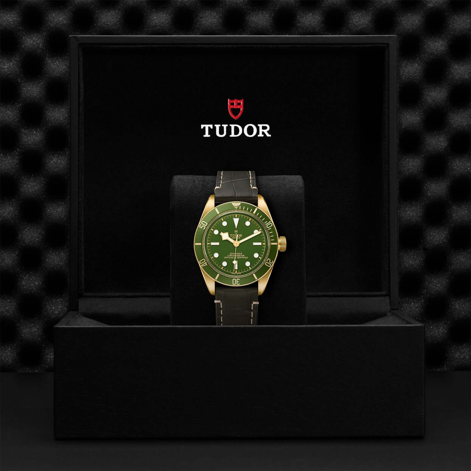 Tudor Black Bay Fifty-Eight 18k M79018V-0001Bandiera Jewellers Vaughan