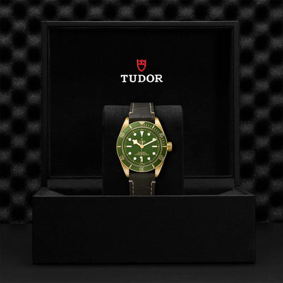 Tudor Black Bay Fifty-Eight 18k M79018V-0001Bandiera Jewellers Vaughan