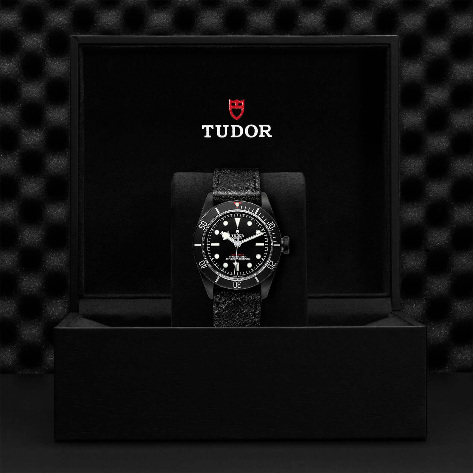 Tudor Black Bay Dark M79230DK-0007 at Bandiera Jewellers Vaughan
