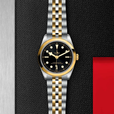 Tudor Black Bay 32 S&G M79643-0001 at Bandiera Jewellers Vaughan