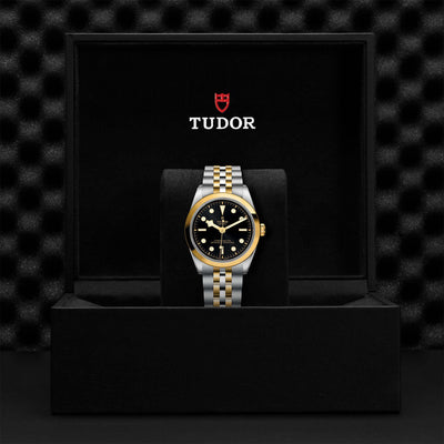 Tudor Black Bay 32 S&G M79643-0001 at Bandiera Jewellers Vaughan