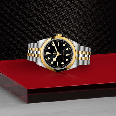 Tudor Black Bay 32 S&G M79643-0001 at Bandiera Jewellers Vaughan