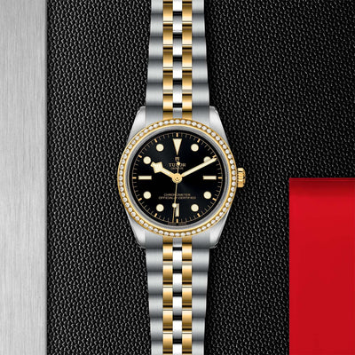 Tudor Black Bay 32 S&G M79653-0001 at Bandiera Jewellers Vaughan