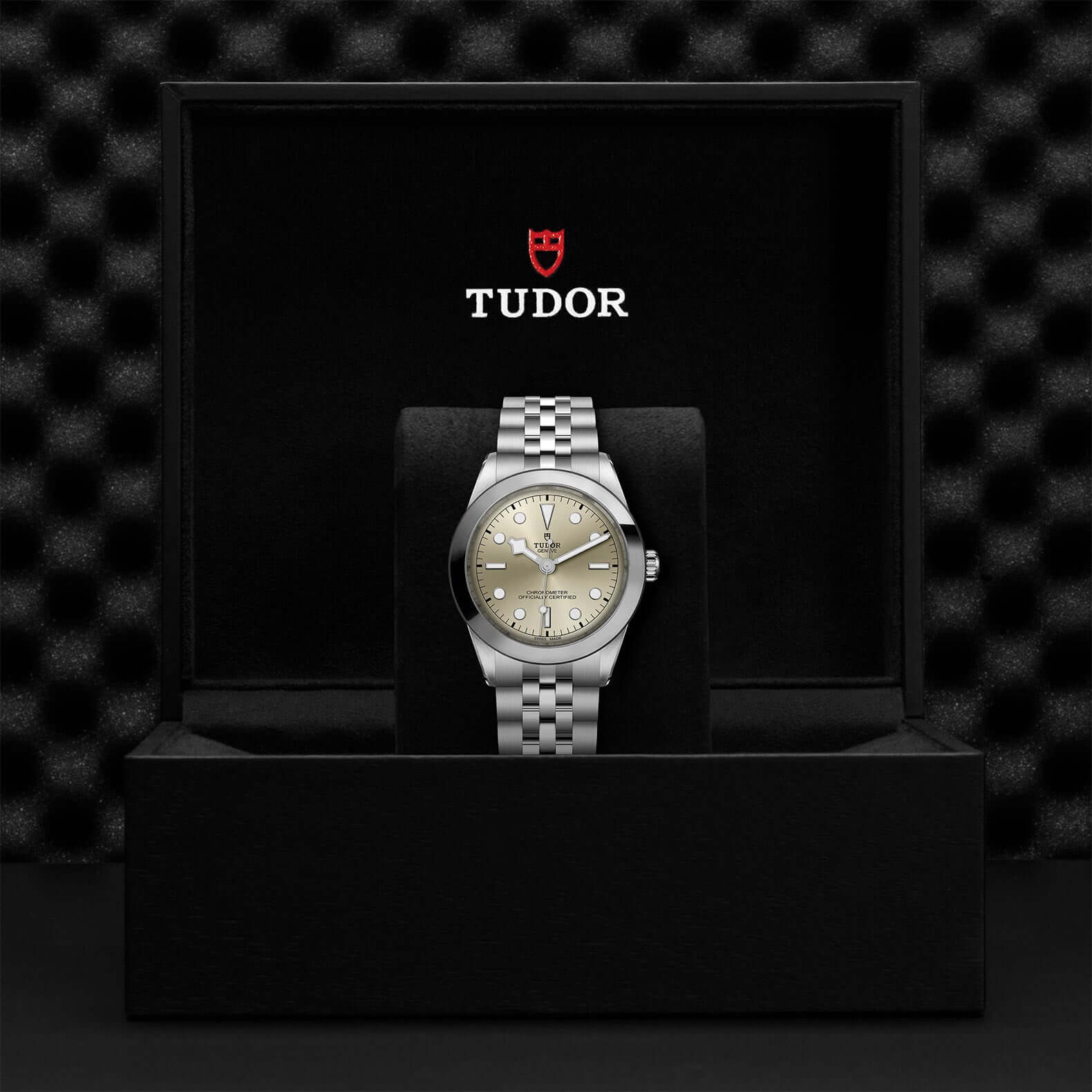 Tudor Black Bay 39 M79660-0003 at Bandiera Jewellers Vaughan