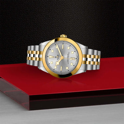 Tudor Black Bay 39 S&G M79663-0002 at Bandiera Jewellers Vaughan