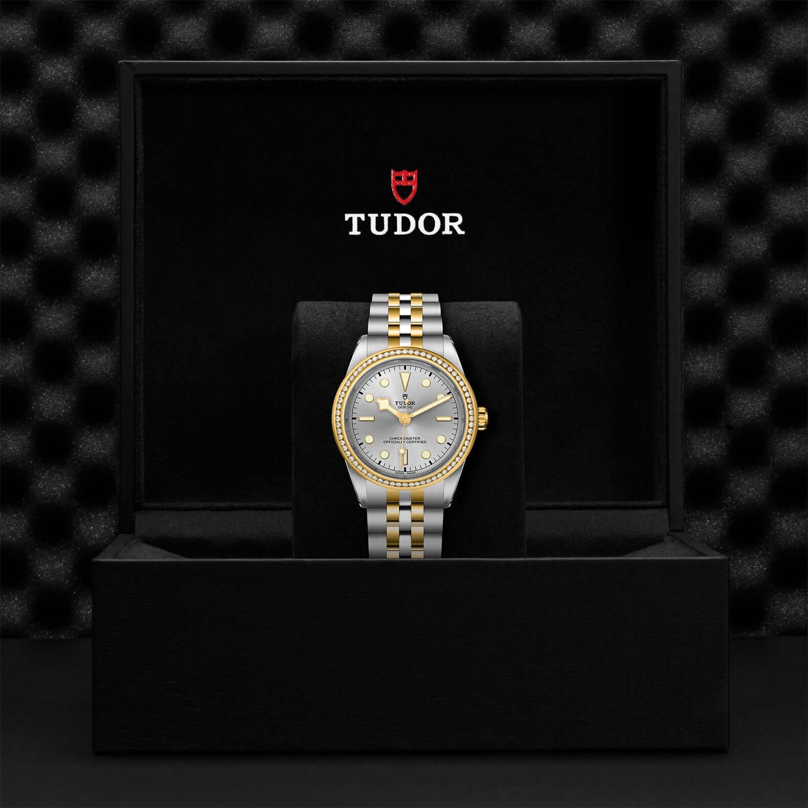 Tudor Black Bay 39 S&G M79673-0002 at Bandiera Jewellers Vaughan