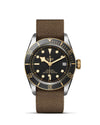 Tudor Black Bay Steel and Gold M79733N-0005 Bandiera Jewellers Vaughan