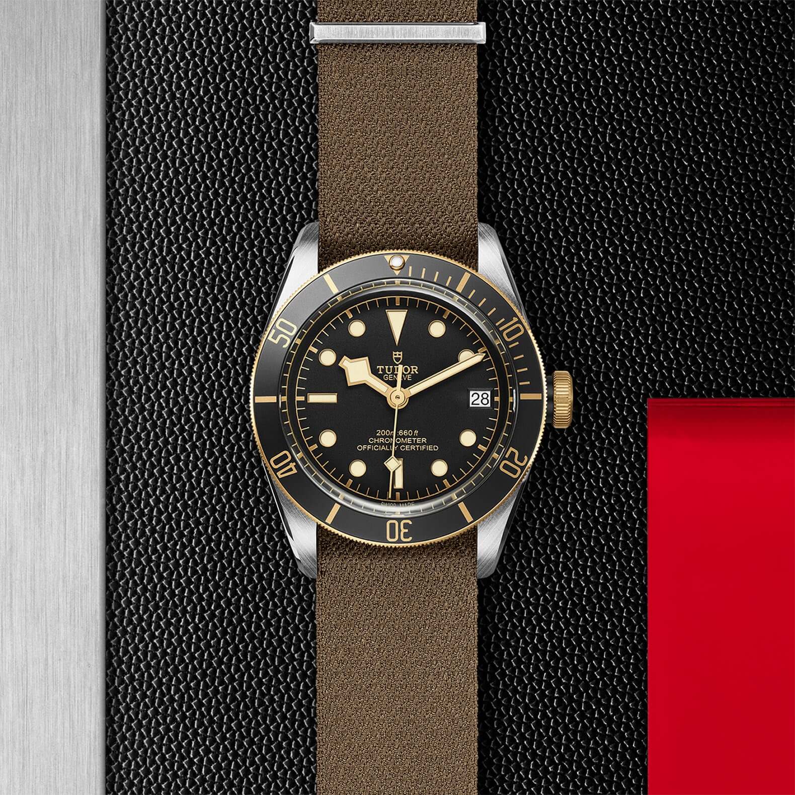 Tudor Black Bay Steel and Gold M79733N-0005 Bandiera Jewellers Vaughan