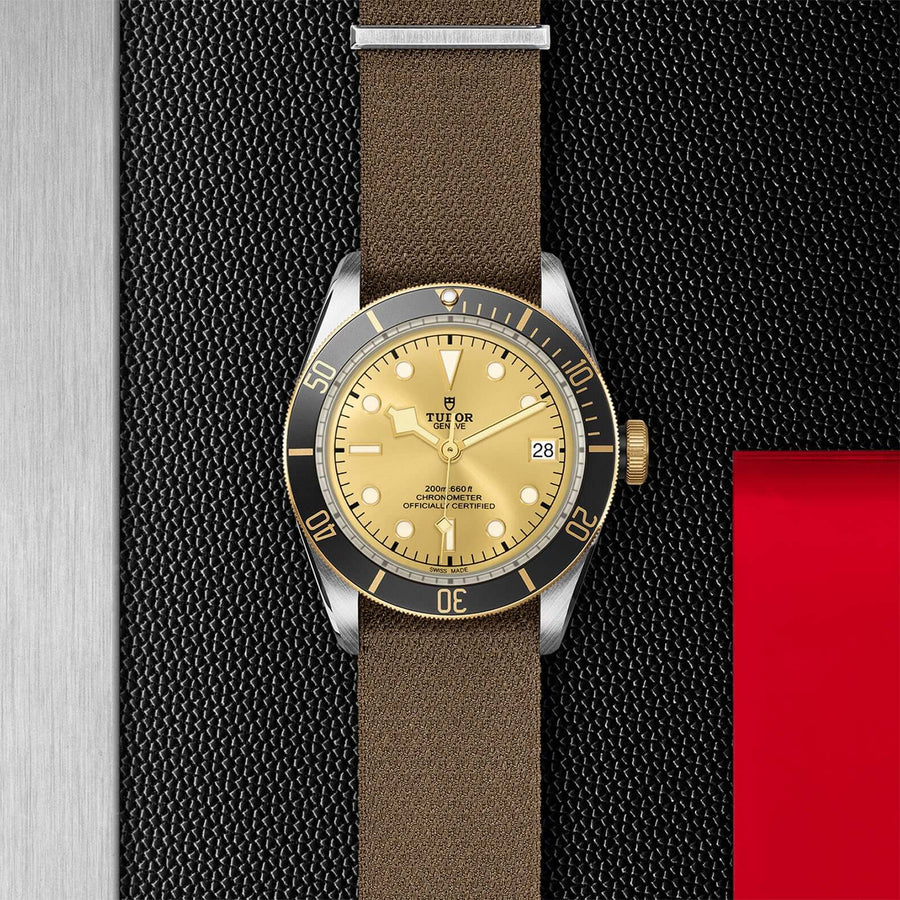 Tudor Black Bay Steel and Gold M79733N-0006 Bandiera Jewellers Vaughan