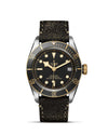 Tudor Black Bay Steel and Gold M79733N-0007 Bandiera Jewellers Vaughan