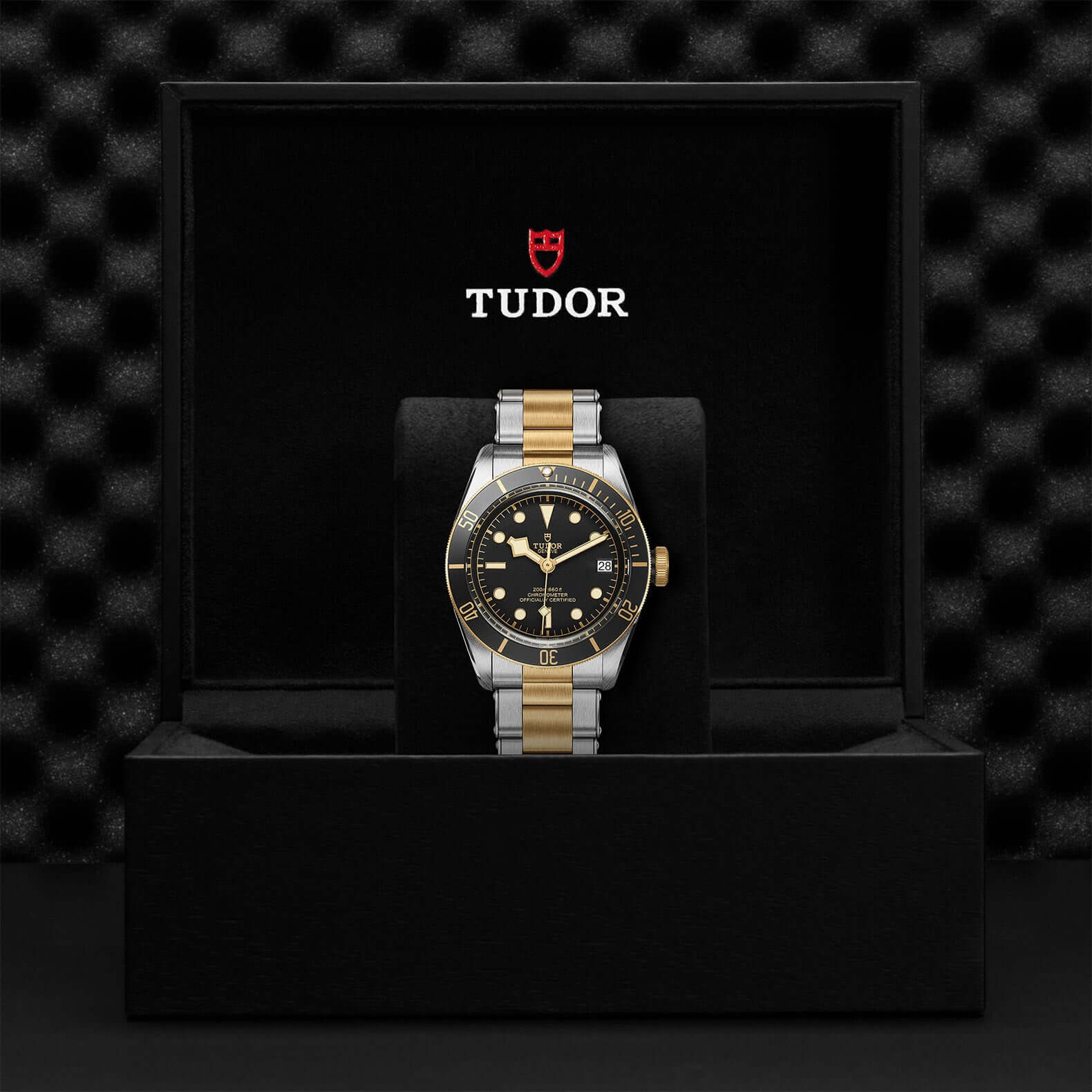 Tudor Black Bay Steel and Gold M79733N-0008 Bandiera Jewellers Vaughan