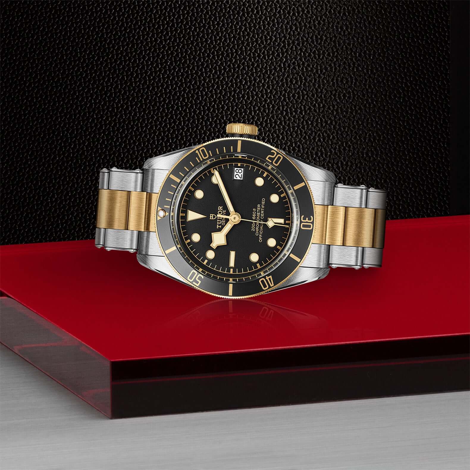 Tudor Black Bay Steel and Gold M79733N-0008 Bandiera Jewellers Vaughan