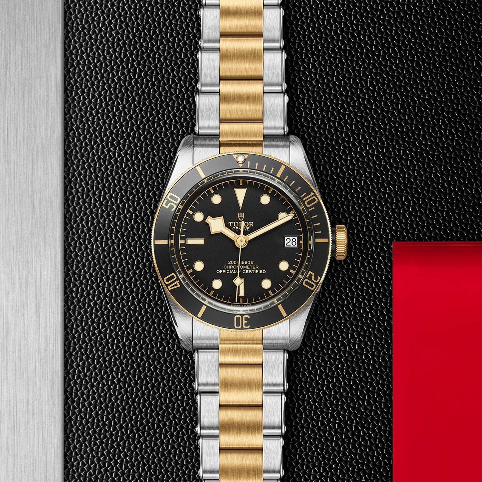 Tudor Black Bay Steel and Gold M79733N-0008 Bandiera Jewellers Vaughan