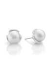 Mikimoto Classic Elegance Stud Earrings Akoya Pearl White 8mm A+ (MEA10159ADXW) | Bandiera Jewellers Toronto and Vaughan