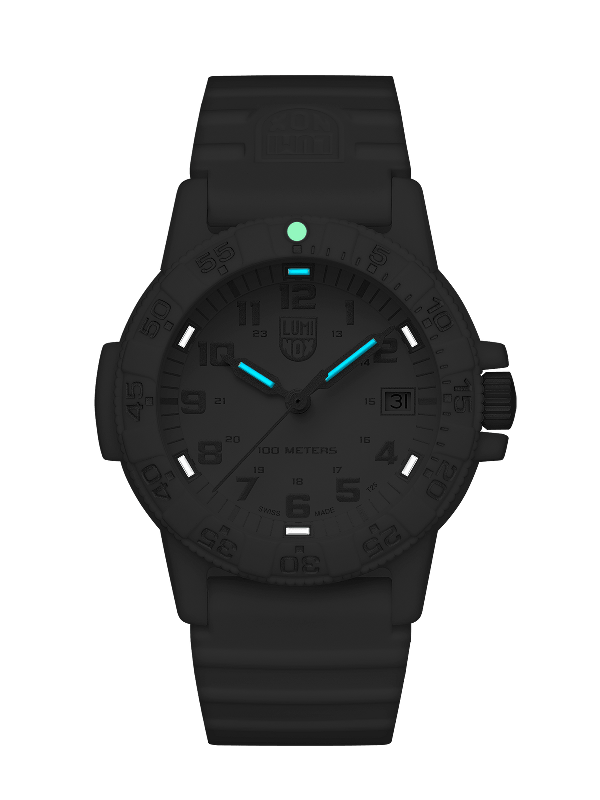 Leatherback SEA Turtle, 39MM - 0307.WO