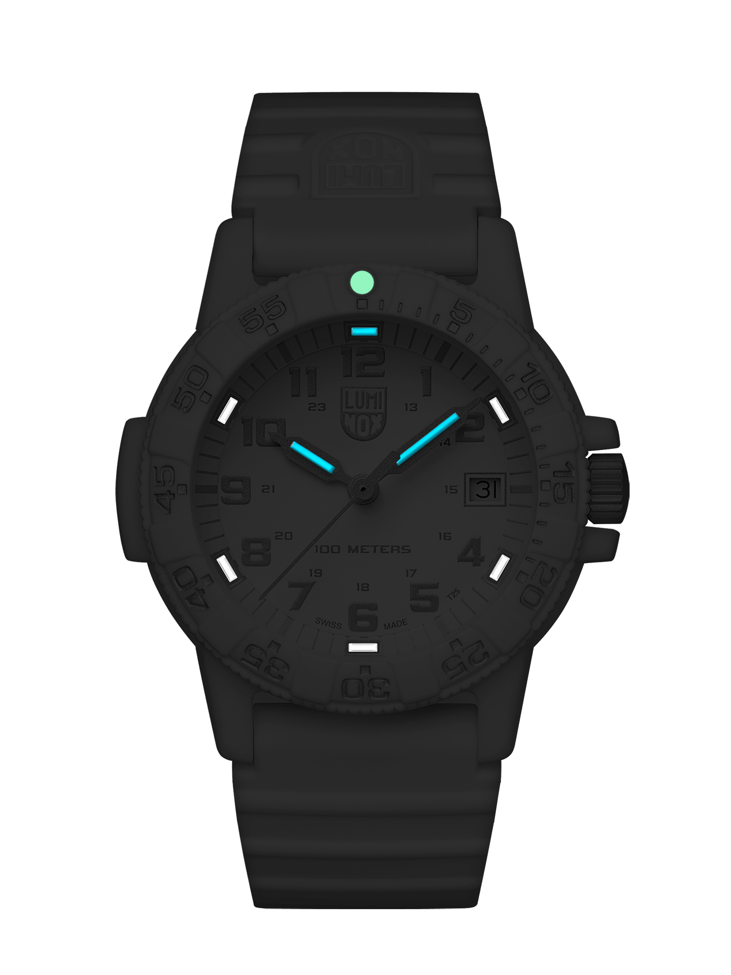 Leatherback SEA Turtle, 39MM - 0307.WO