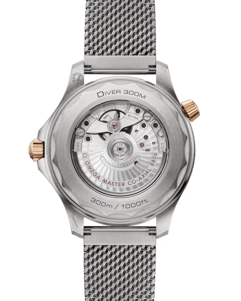 Omega Seamaster Titanium Bronze Gold 210.90.42.20.10.001