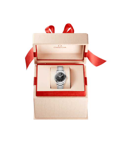 Omega Seamaster Aqua Terra 150M 220.10.28.60.51.001