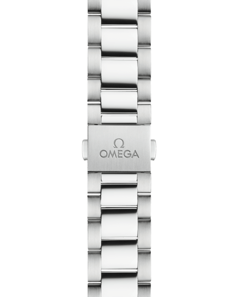 Omega Seamaster Aqua Terra Watch 220.10.34.20.55.001