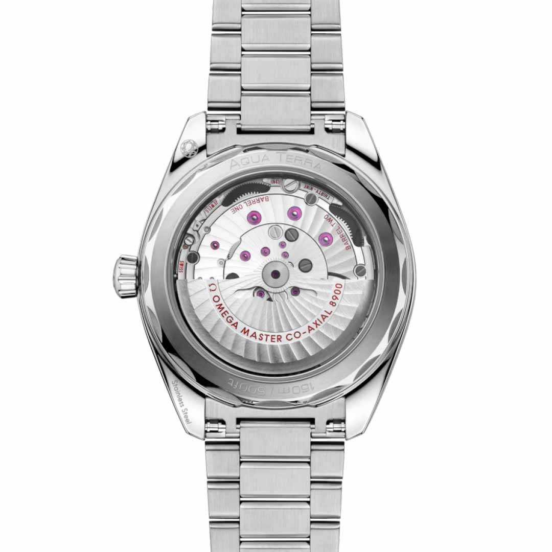 Omega Seamaster Aqua Terra Co-Axial Watch 220.10.41.21.01.002