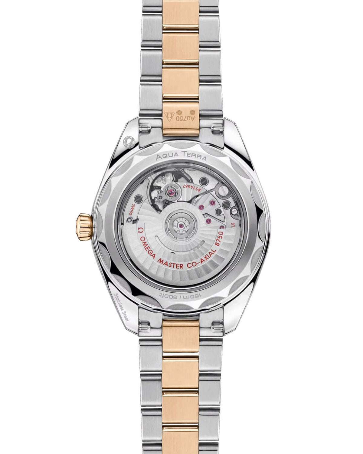 Omega Seamaster Aqua Terra 150M 220.20.30.20.02.001