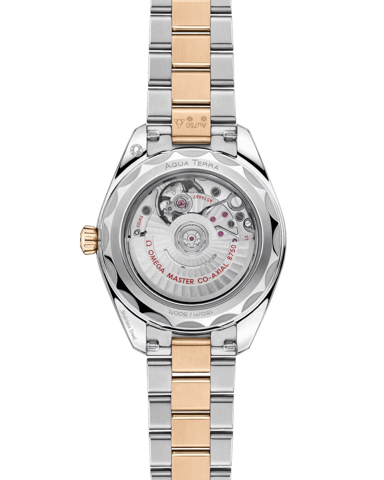 Omega Seamaster Aqua Terra 150M 220.20.30.20.02.001