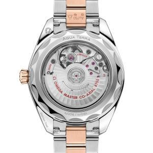 Omega Seamaster Aqua Terra 150M 220.20.30.20.63.001