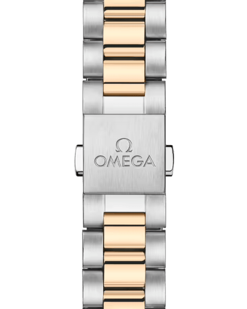 Omega Seamaster Aqua Terra 150M 220.20.41.21.01.001