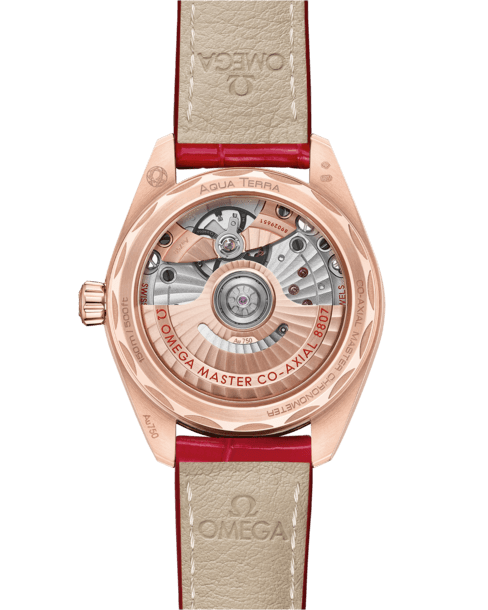 Omega Seamaster Aqua Terra 150M Watch 220.58.34.20.99.004