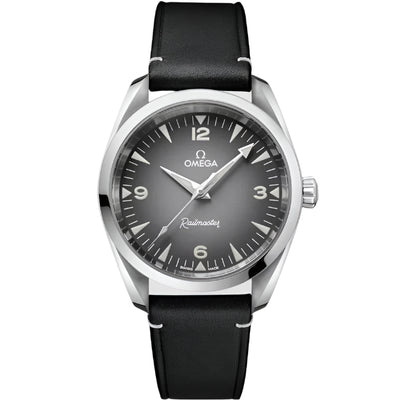 Omega Seamaster Railmaster Watch 235.12.38.20.06.001
