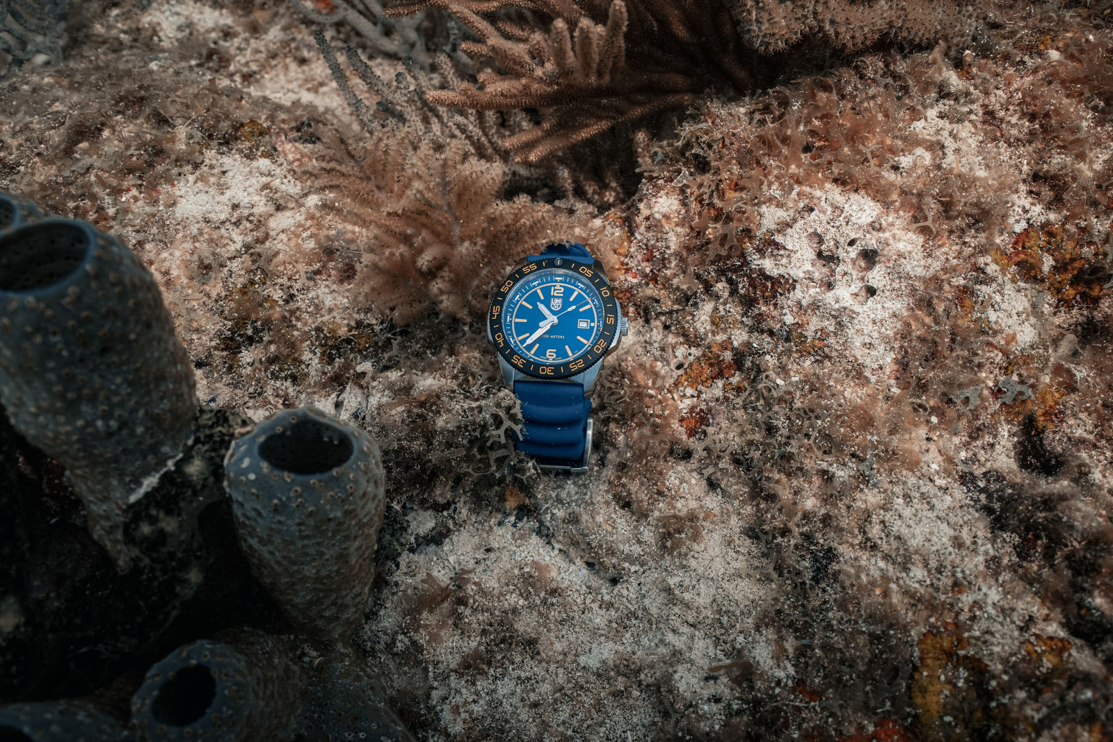 Pacific Diver, 44MM - 3125.FB