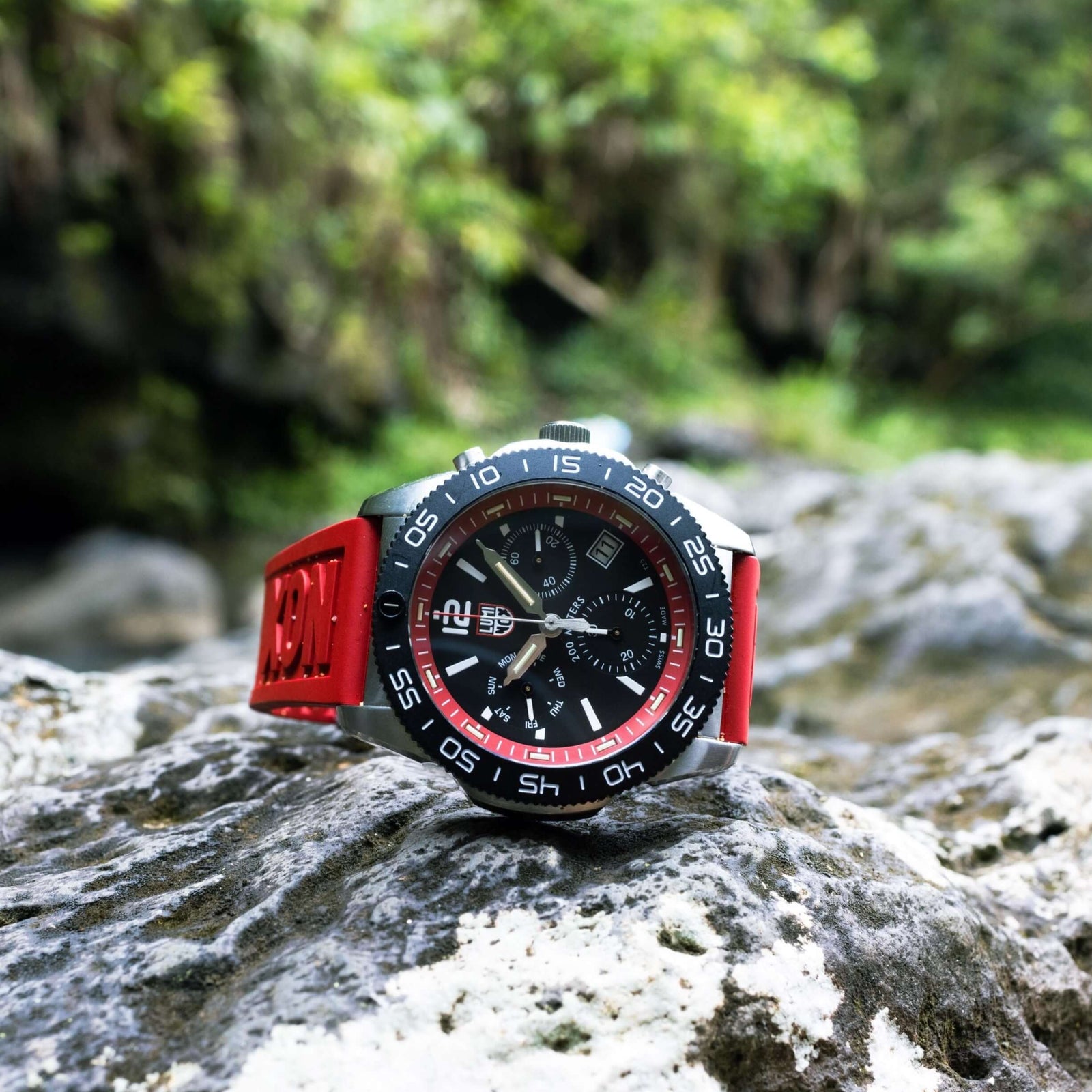 Pacific Diver Chronograph, 44MM - 3155