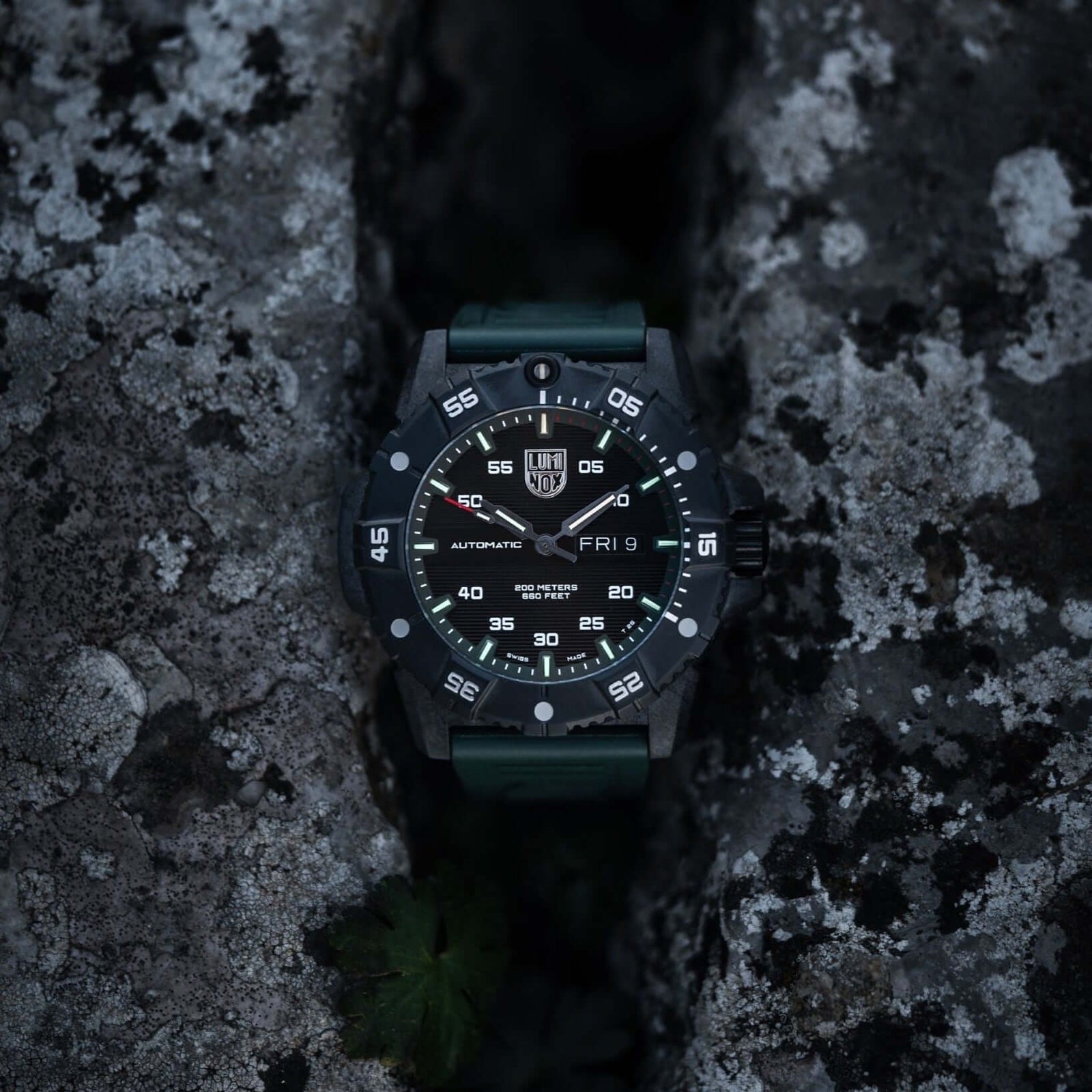 Master Carbon SEAL Automatic, 45MM - 3877