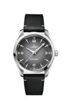 Omega watch with black strap and gray dial on a white background

Omega Seamaster Railmaster Watch 235.12.38.20.06.001 Bandiera Jewellers