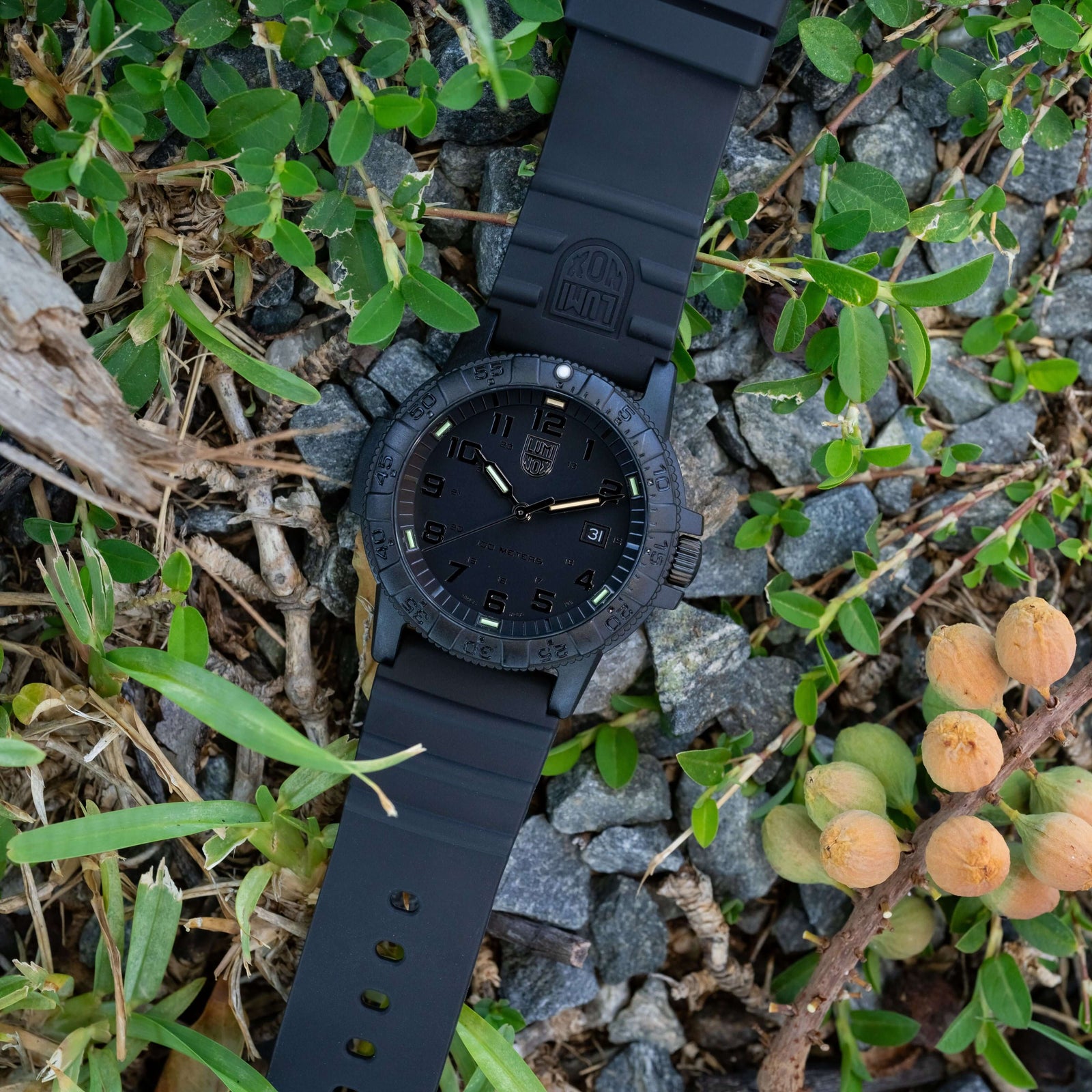 Leatherback SEA Turtle Giant, 44MM - 0321.BO.L
