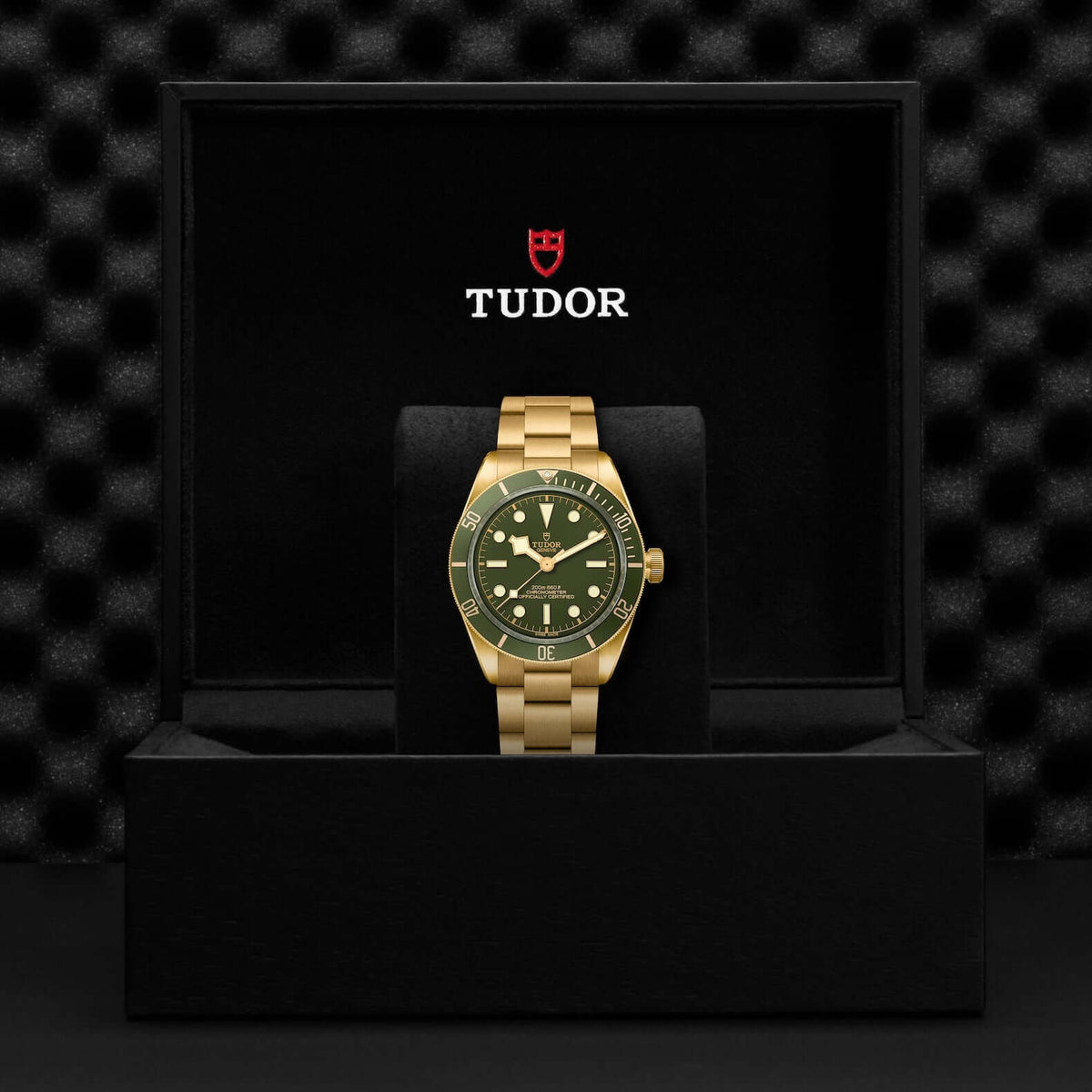 Tudor Black Bay 58 18K M79018V-0006 Bandiera Jewellers