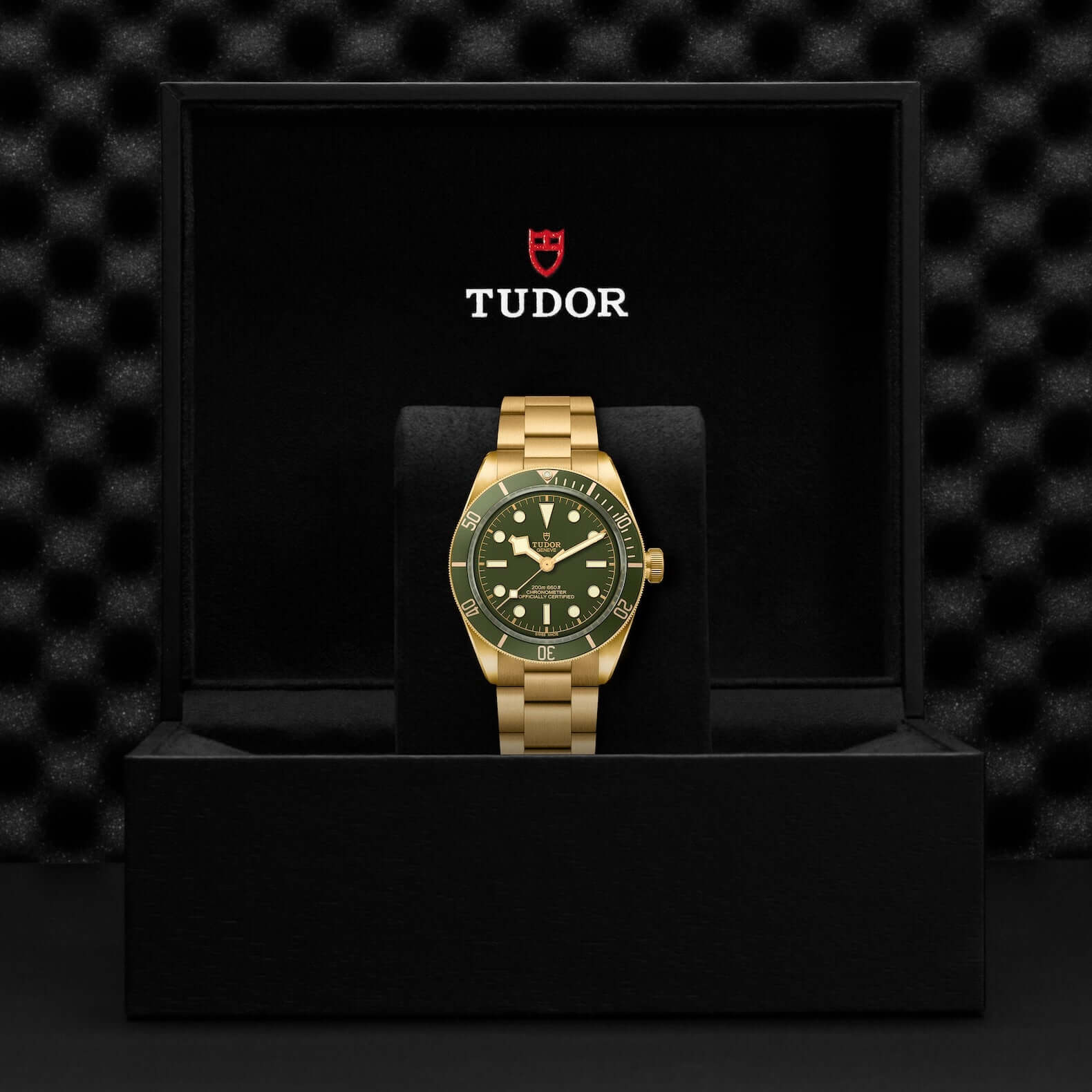Tudor Black Bay 58 18K M79018V-0006 Bandiera Jewellers